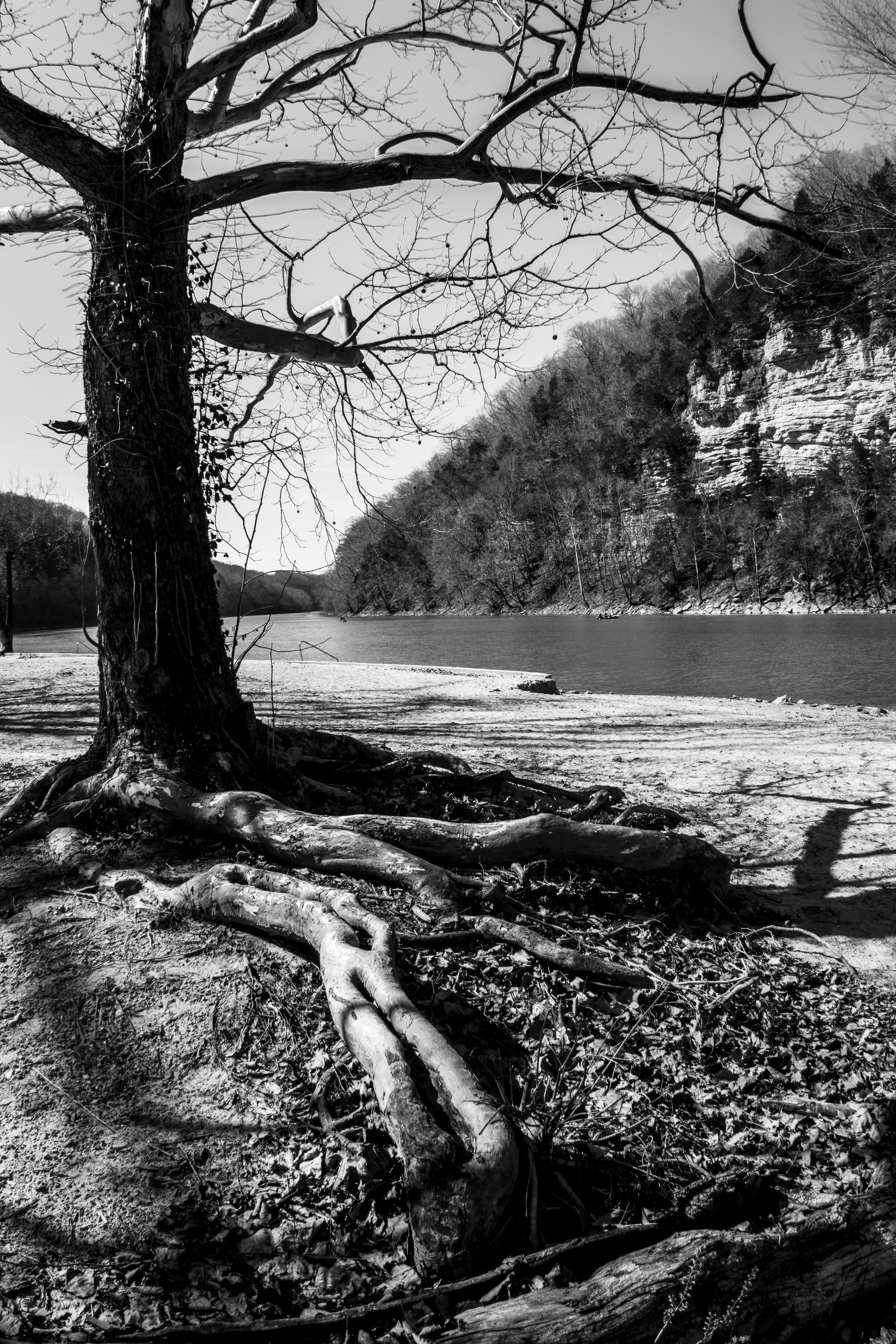 _DSC0060.jpg