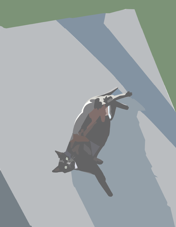 Pintool Shelby.png
