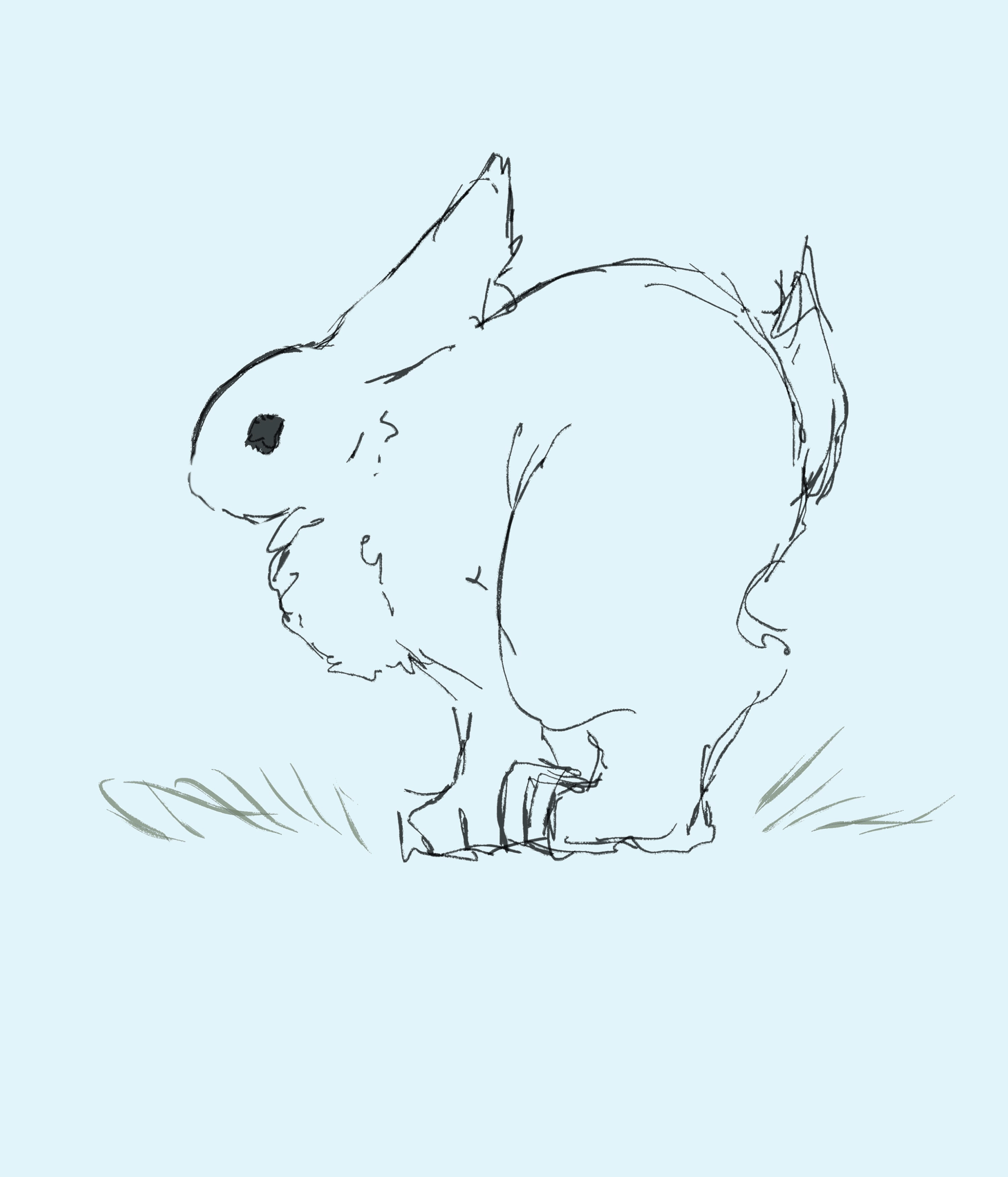 bunny2.gif