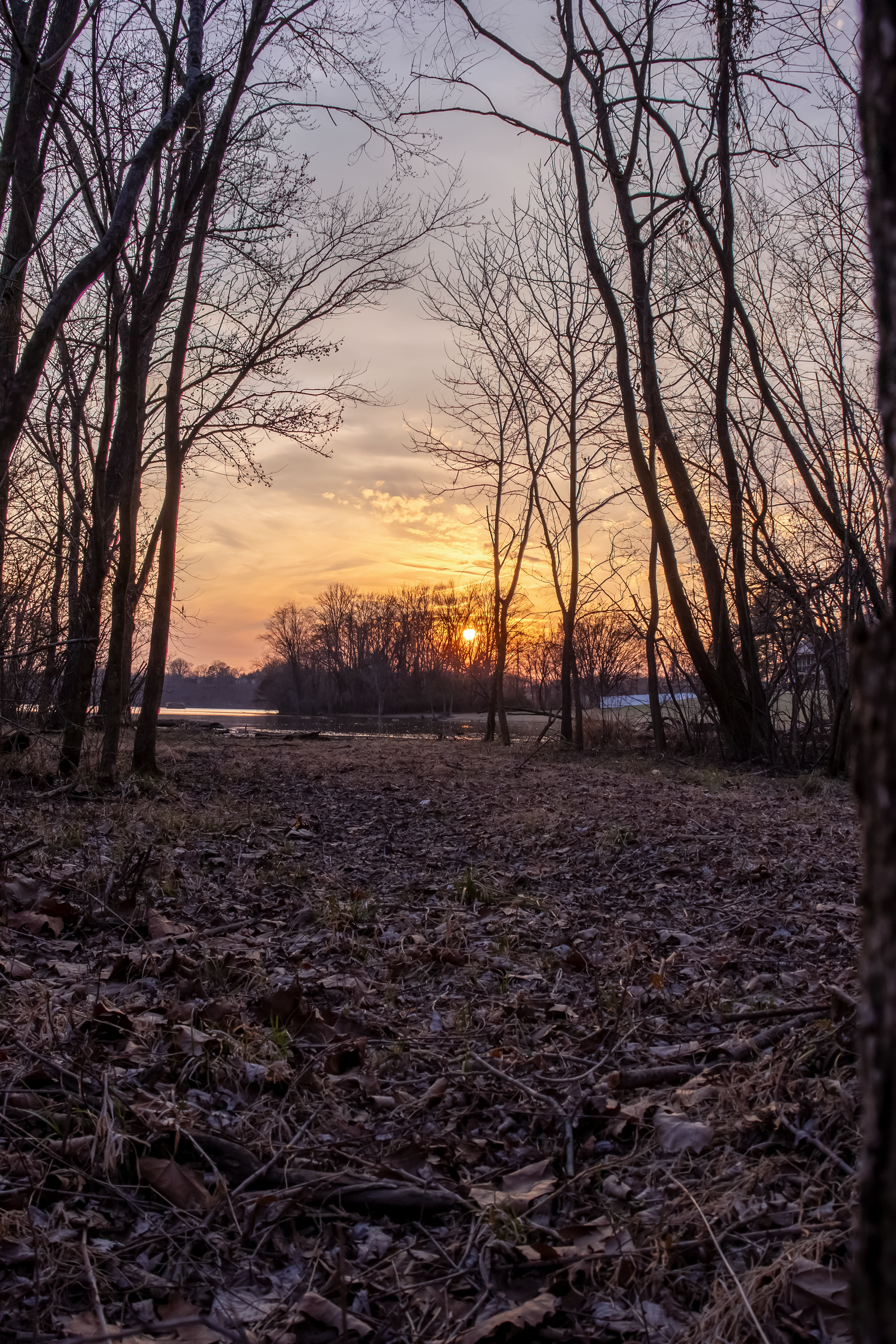 HDR 6.png