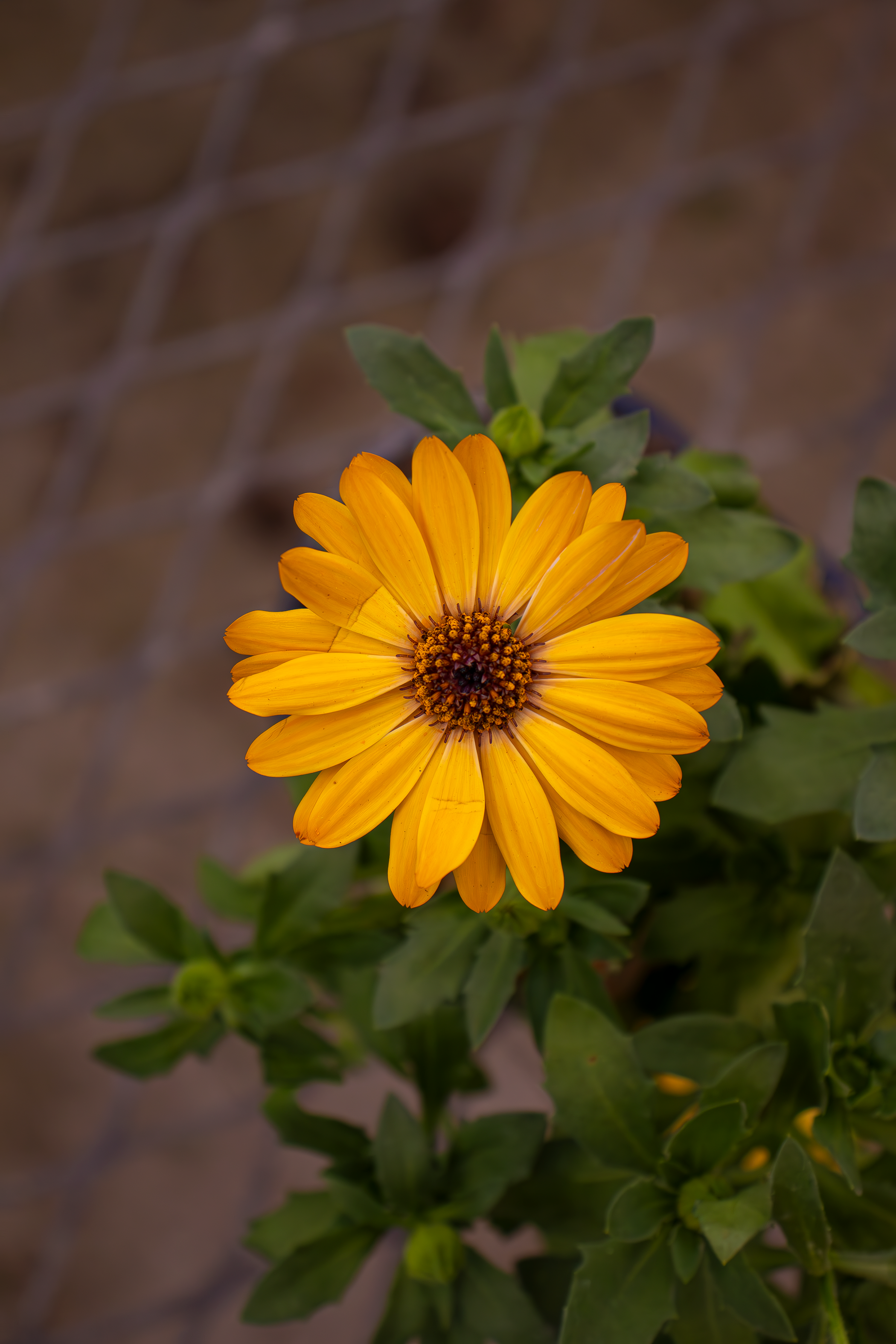 IMG_2584.png