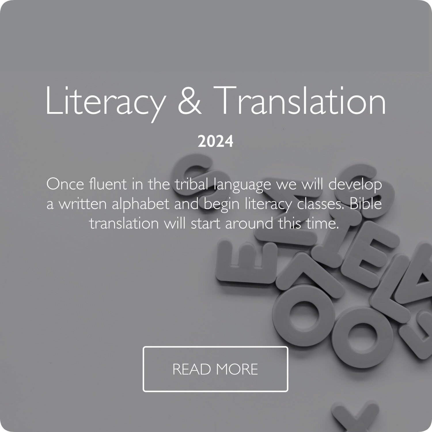 literacy and translation.jpg