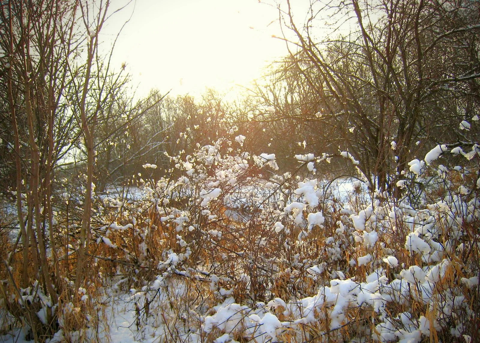 IMG_0570.JPG