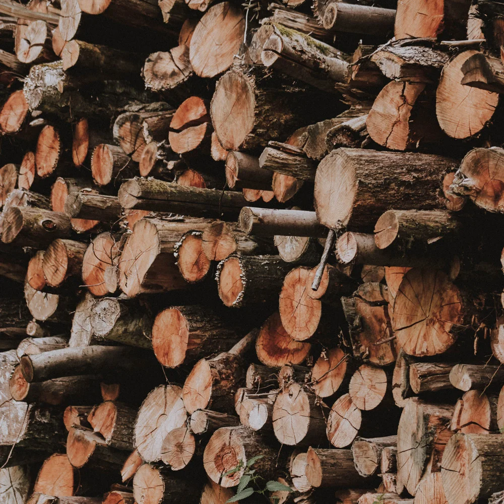 woodstack-country-farm-retro-wedding.jpg