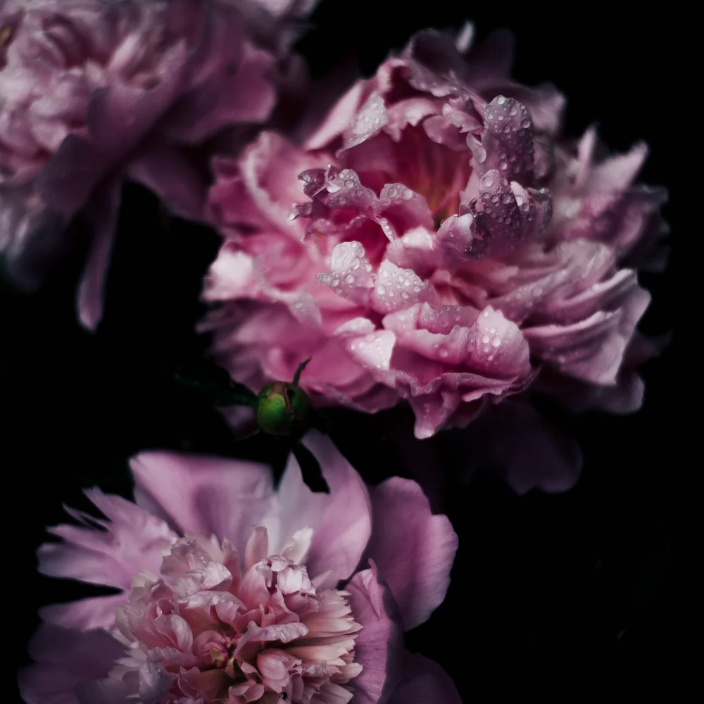 dramatic-moody-wedding-invitation-inspiration.jpg