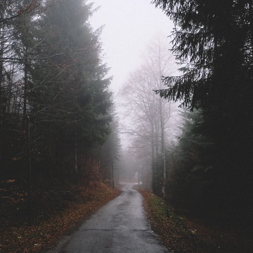 dark-moody-elegant-wedding-inspiration.jpg