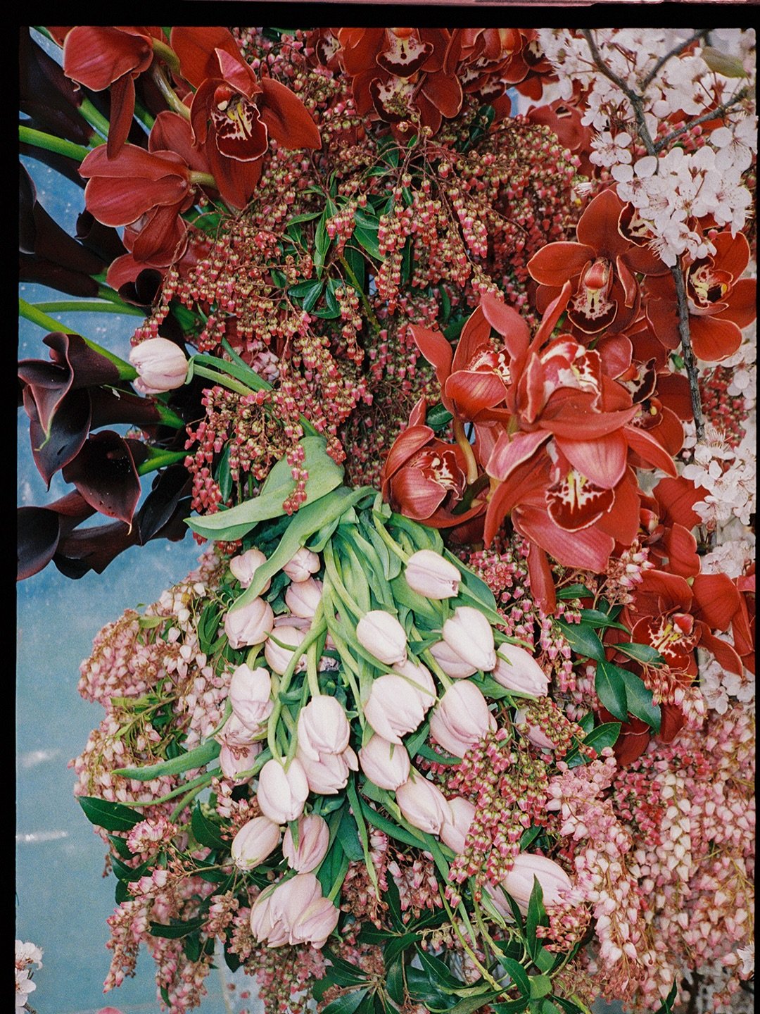 Some absolutely gorg moments captured on film from L+S&rsquo;s magical wedding by @jentighephoto ✨✨✨

Planning, Styling and Coordination @_bowcreative
Styling Photography @jentighephoto
Florist @tweedtwigs 
Ceremony Venue @dairyflatfarmdaylesford 
Re