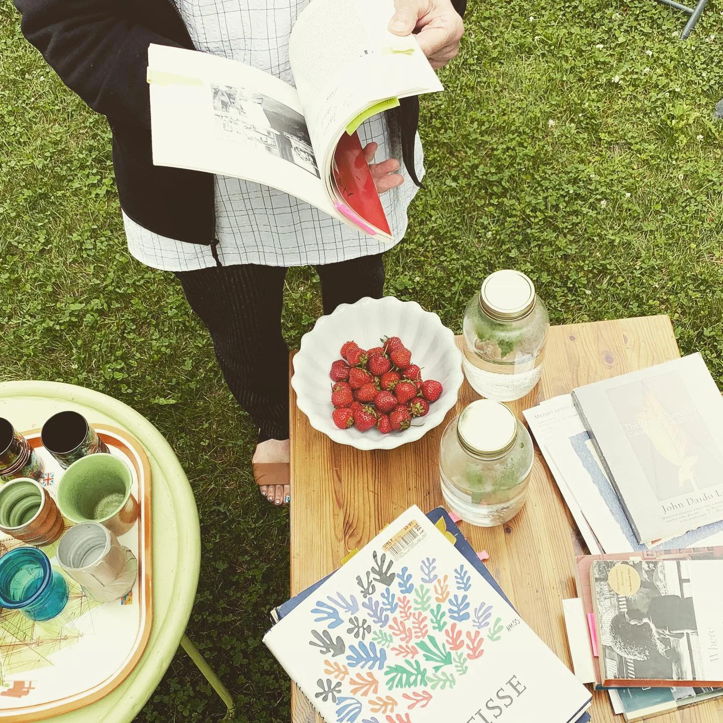 Matisse and Strawberries.jpg
