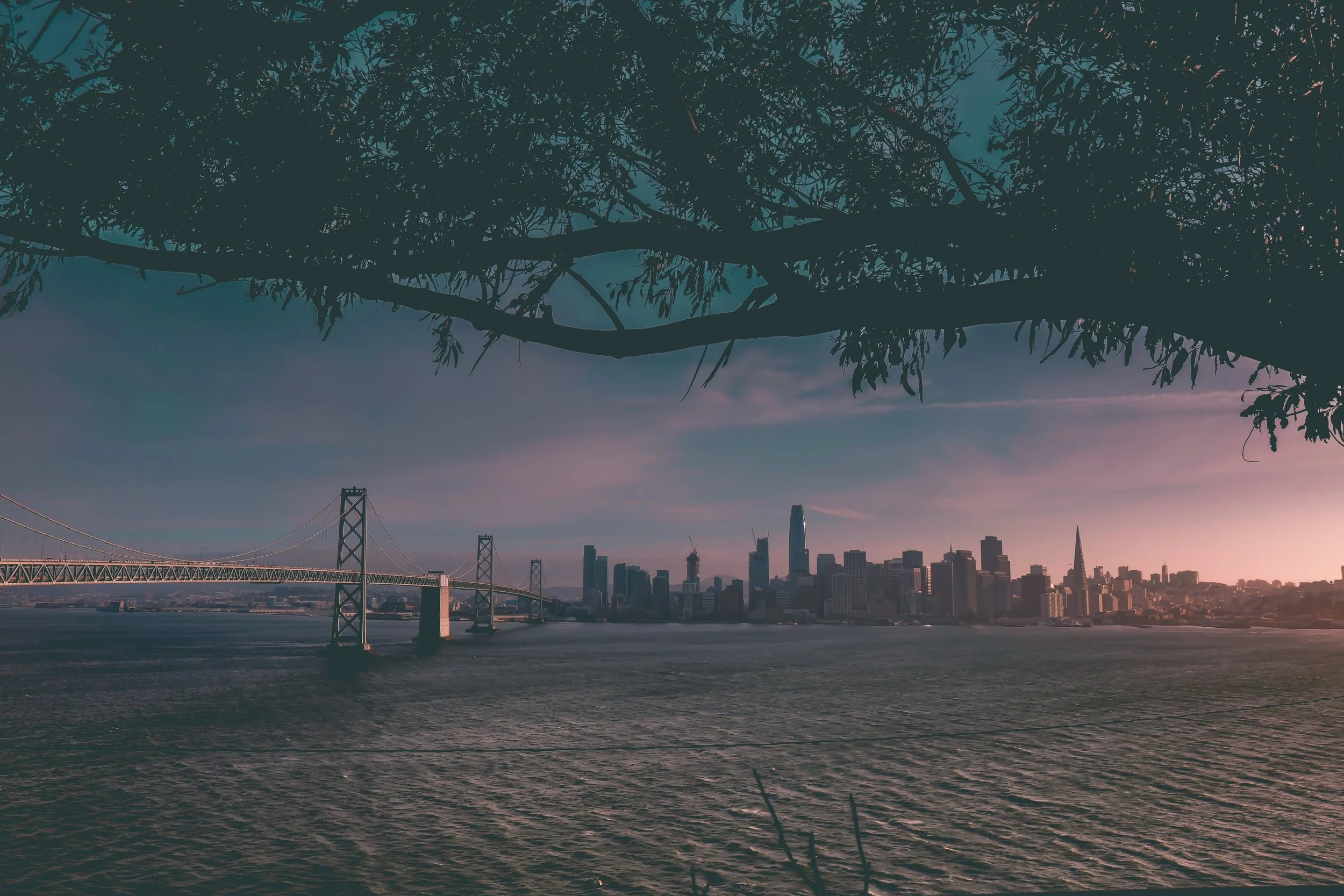 landry-gapangwa-737556-unsplash (1).jpg