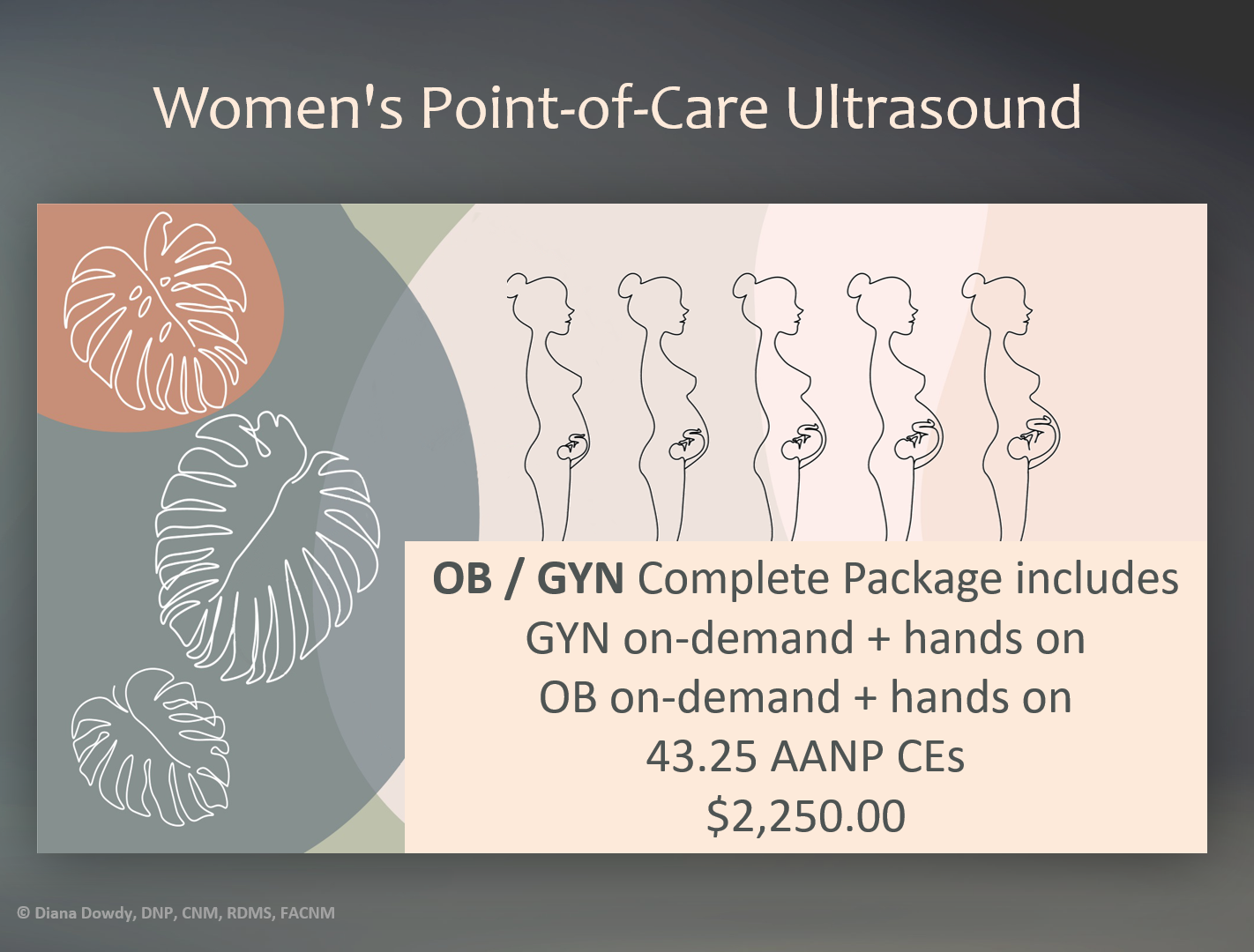 OB/GYN Combo — InnovatED Ultrasound