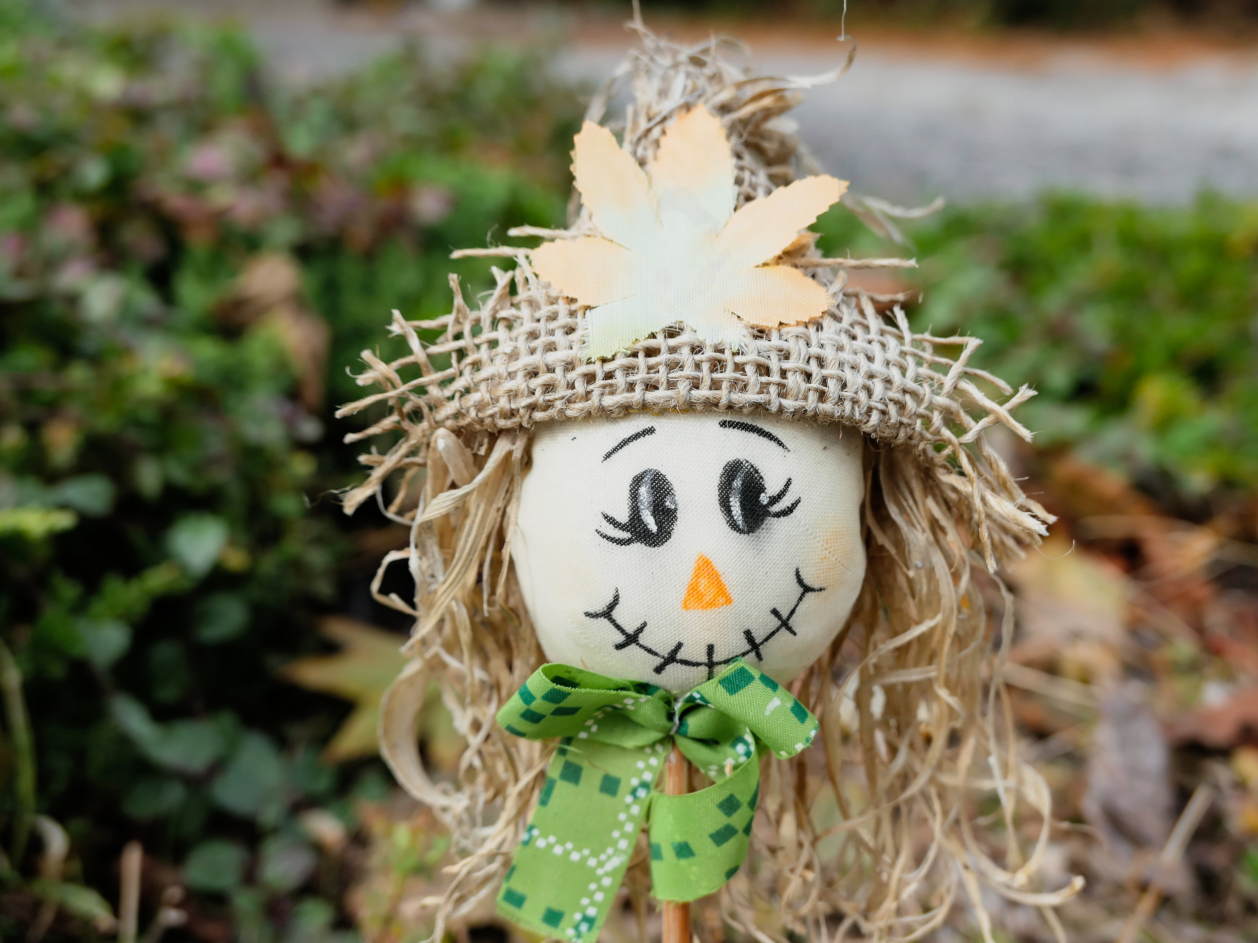 2020 Scarecrow Contest Sign Up