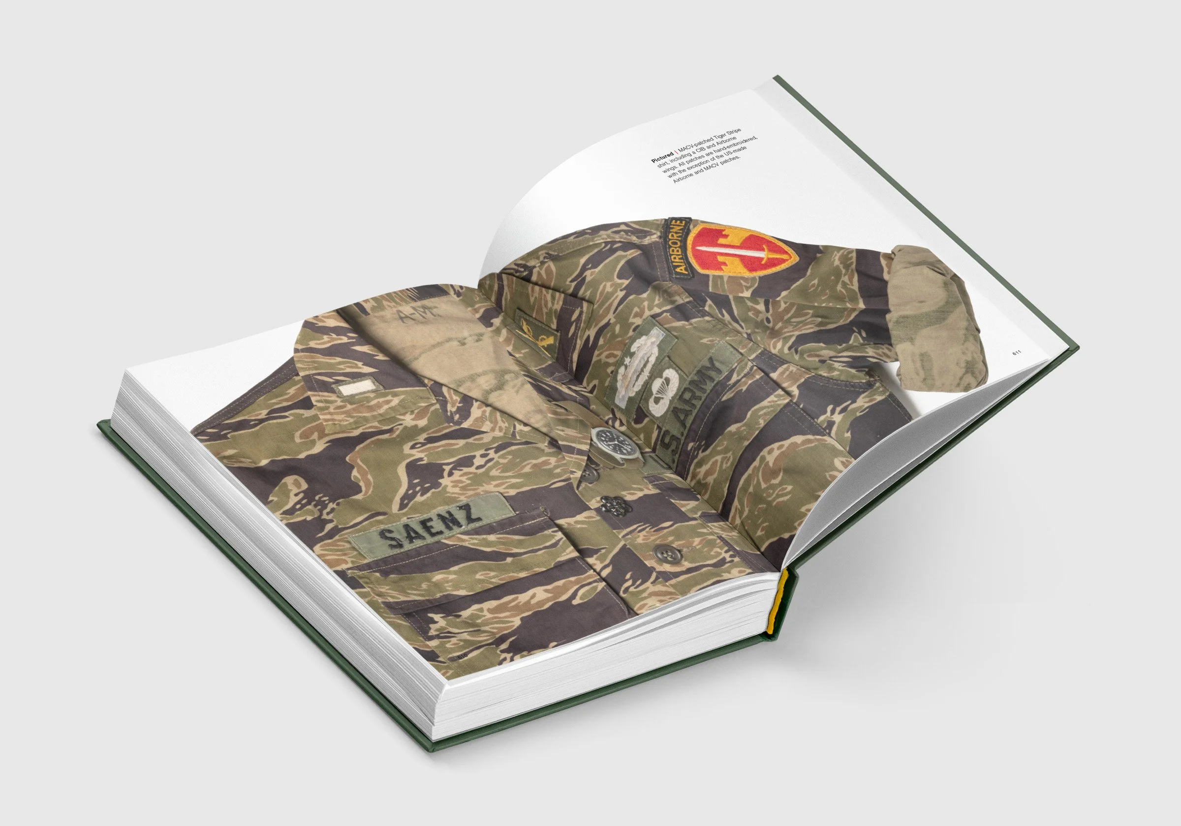 Tiger-Stripe-Book--Spread-18-2.jpg
