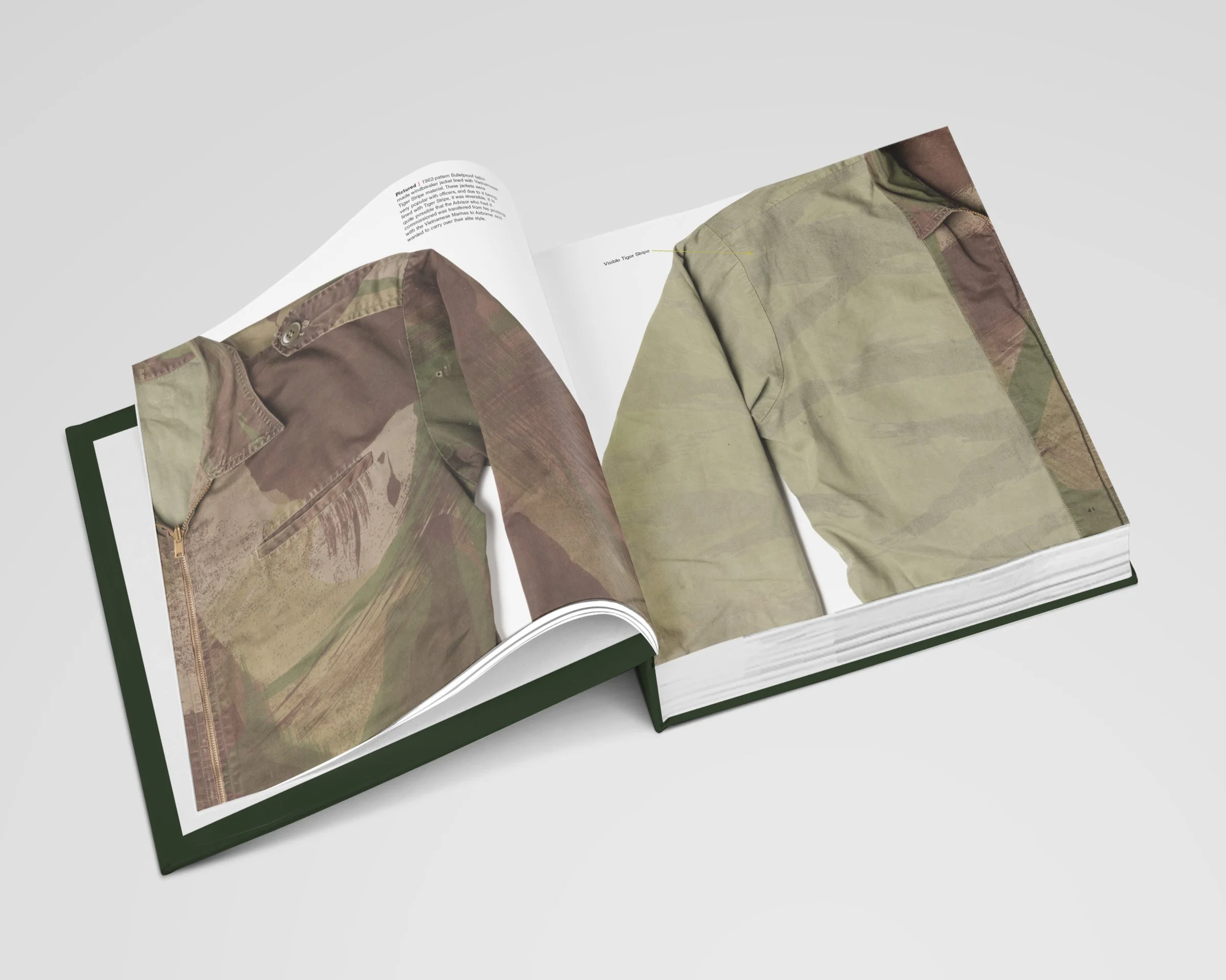 Tiger-Stripe-Book--Spread-6-2.jpg