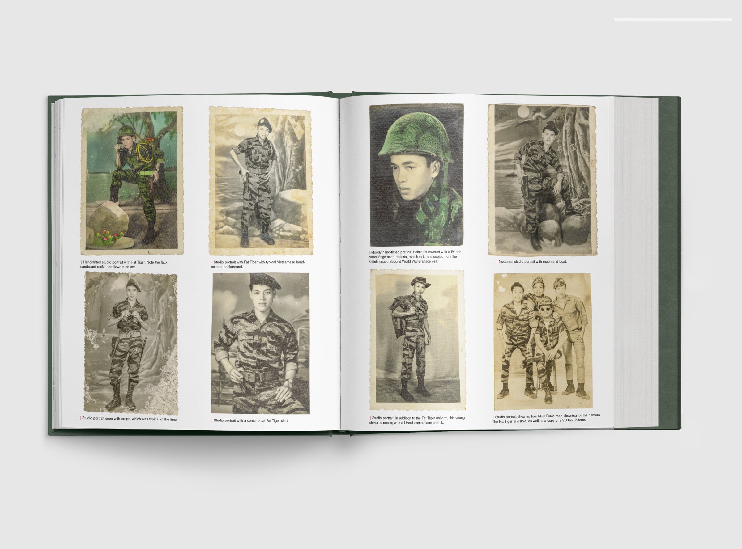 Tiger-Stripe-Book--Spread-9-2.jpg