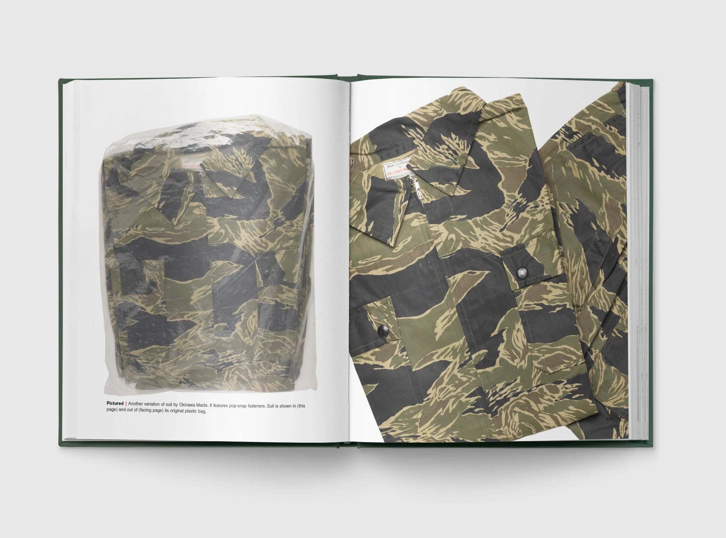 Tiger-Stripe-Book--Spread-13-2.jpg