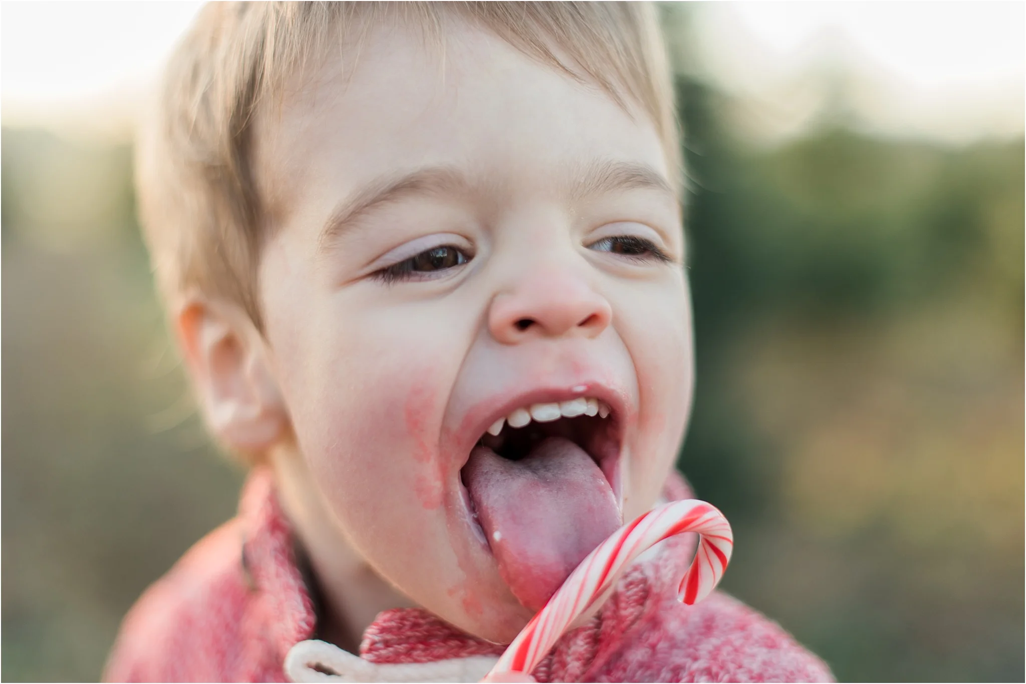 Merry Christmas 2017!