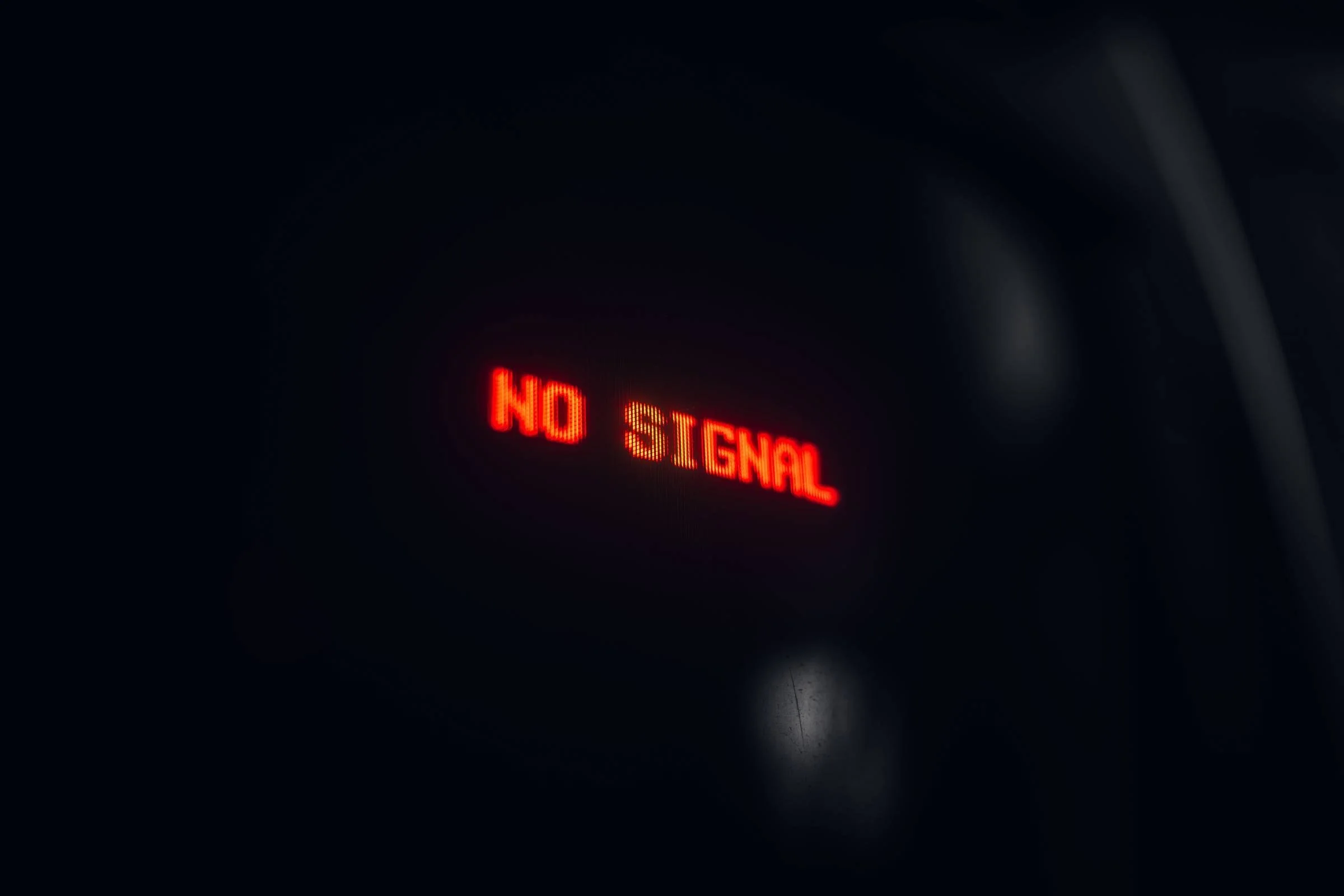 kids 7.jpeg