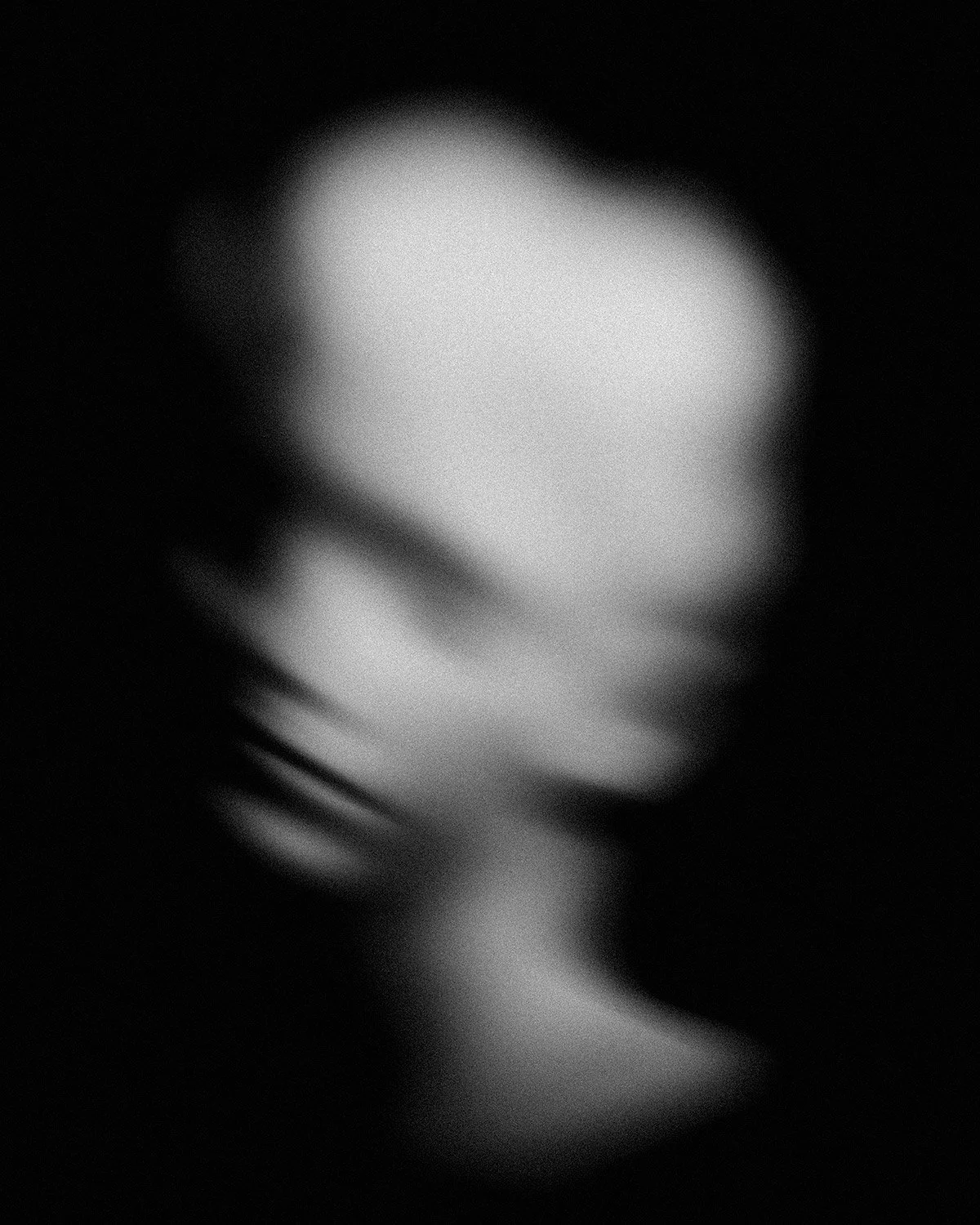 Portrait-23.jpg