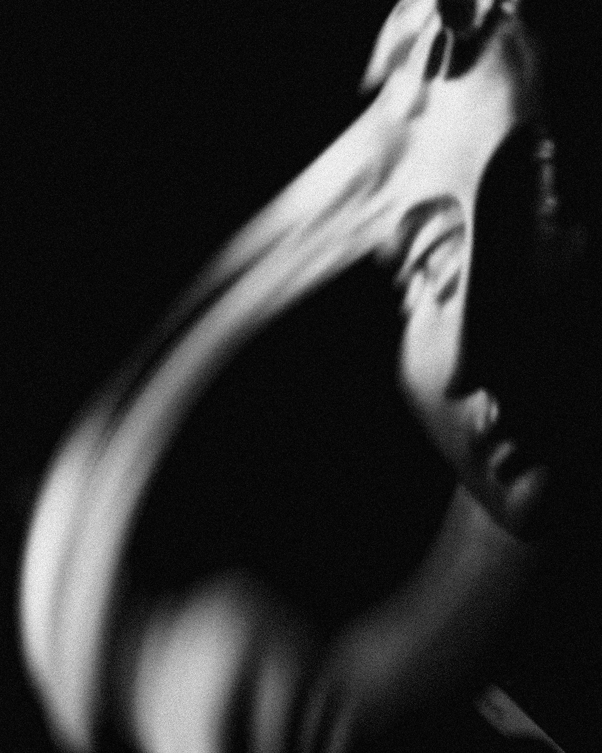 Abstract-greek-bust.jpg
