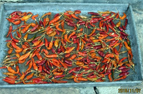  Southern Chinese cuisine is not typically spicy at all, which is weird cos chili peppers grow like crazy in the region. 
