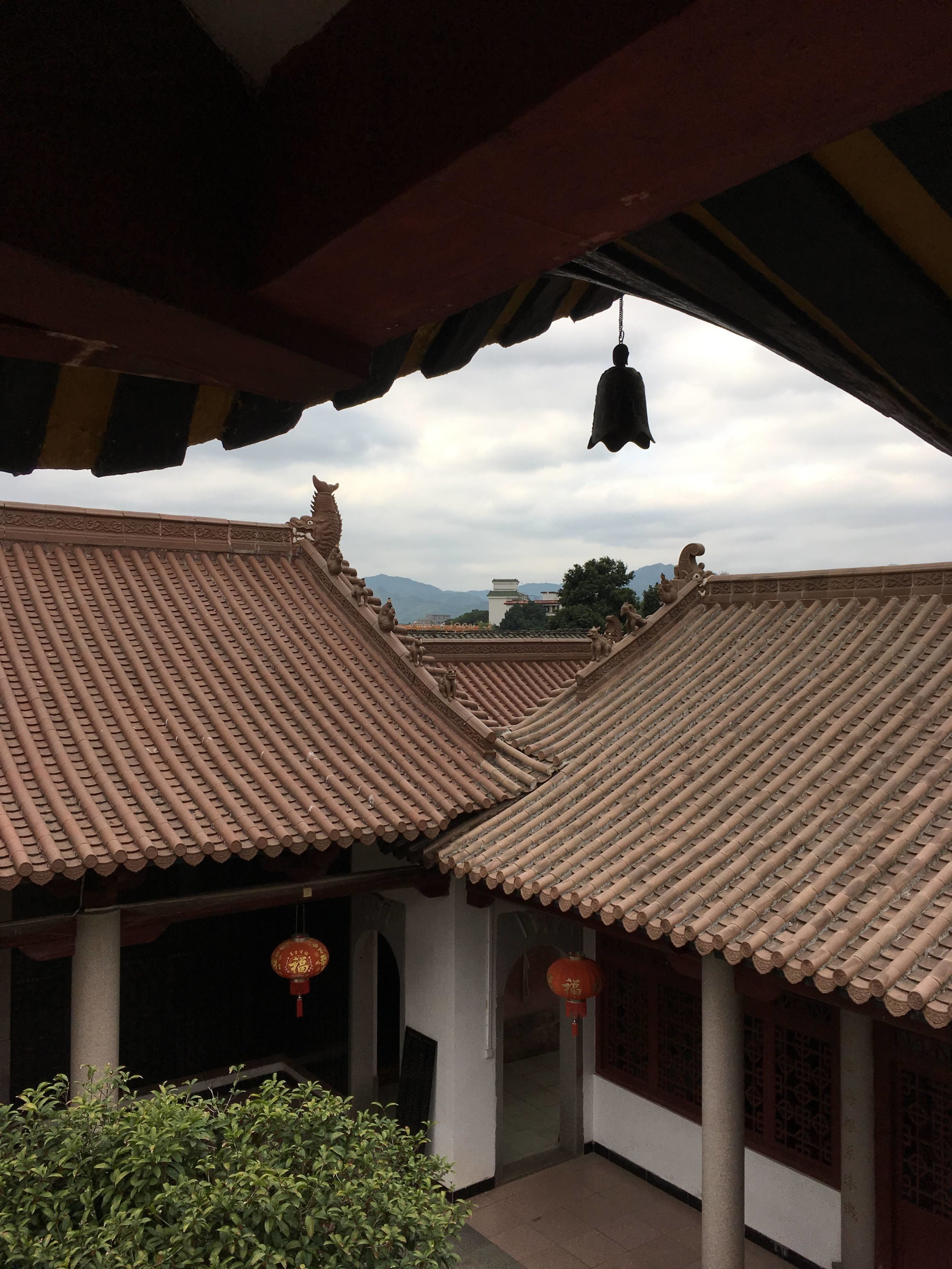 View from the top of the lookout tower