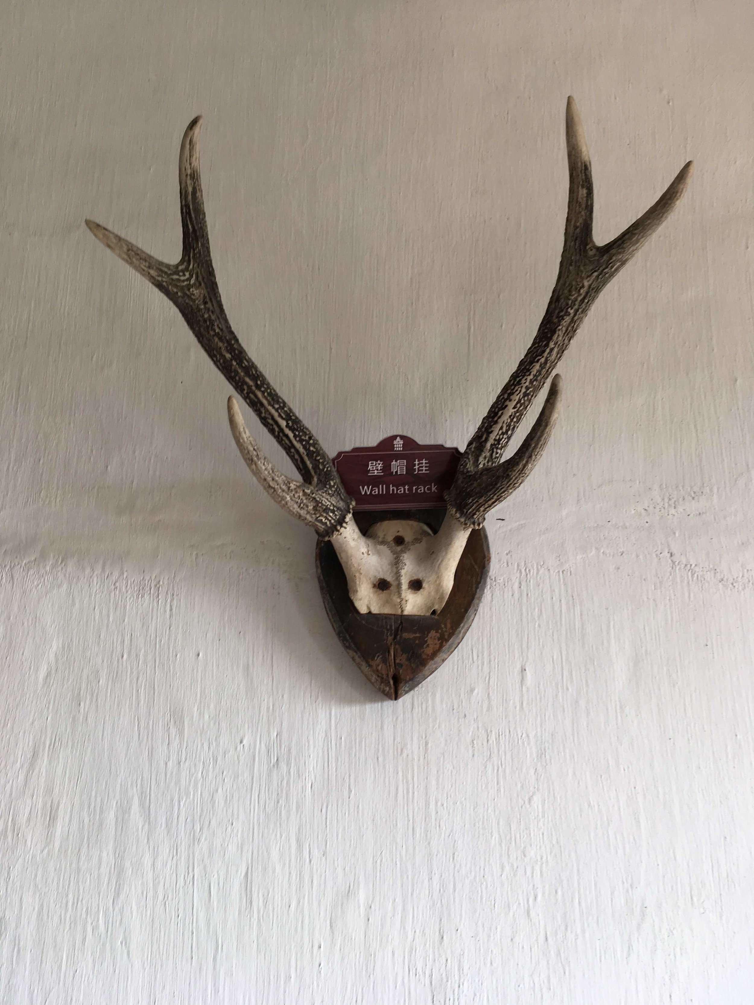 Tagged as “Wall Hat Rack.”  I think it might be elk. 