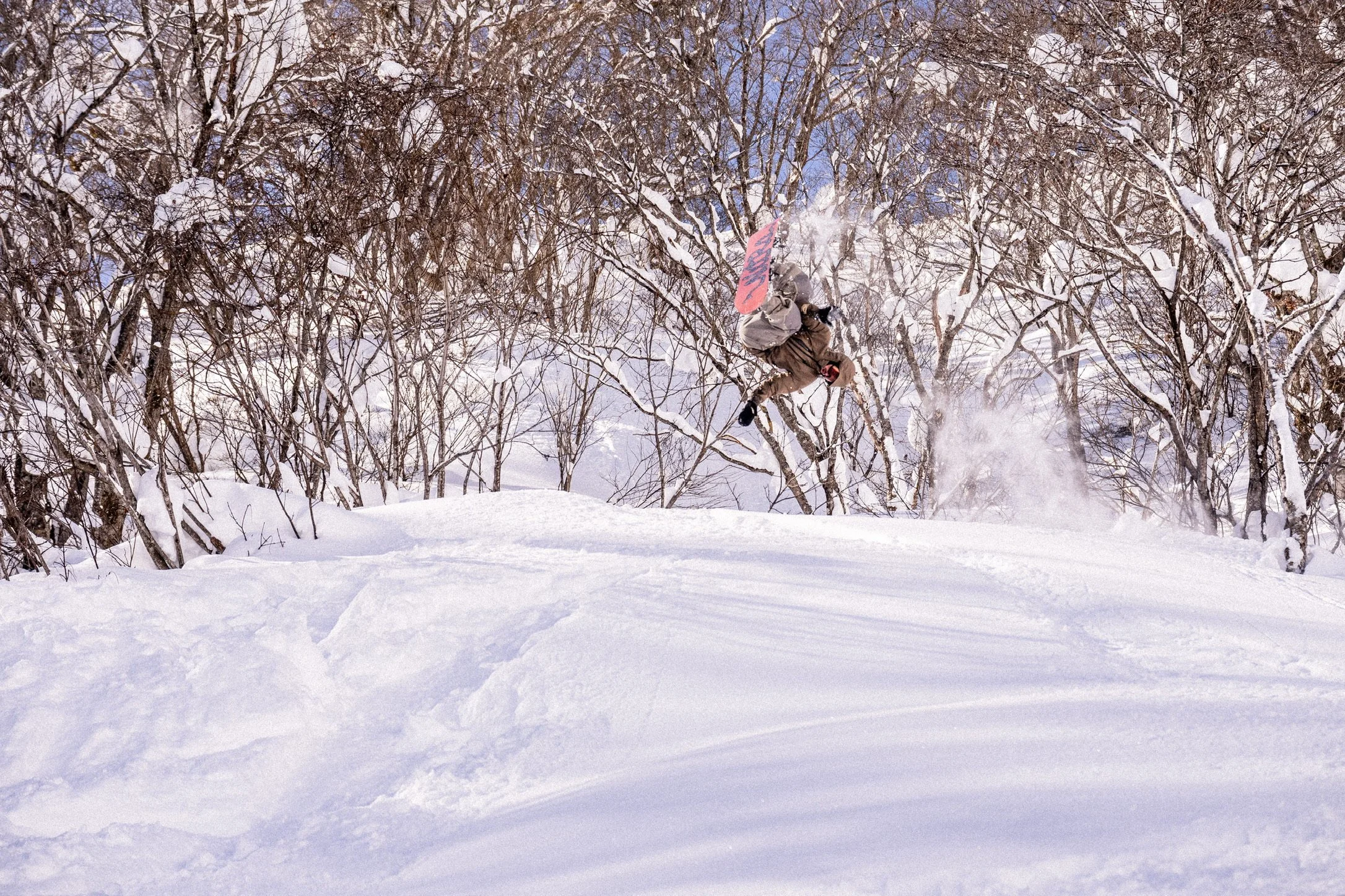 870467FE-5DAF-49DF-A92E-7AB18BB42678_1_102_o.jpeg
