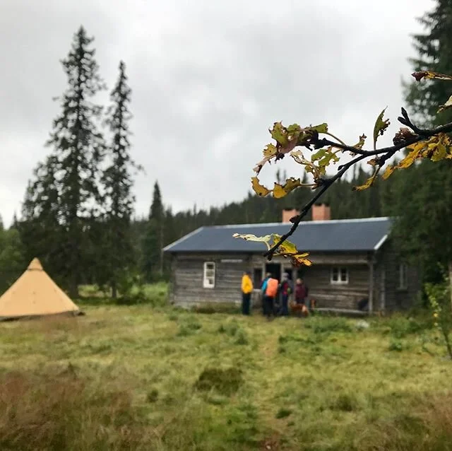 🇸🇪 B&auml;ttre dagar kommer att komma! Varf&ouml;r inte dr&ouml;mma dig bort till Dalarna? Idag lanserade vi v&aring;r nya paketresa &rdquo;Back to nature - the Fulufjallet experience&rdquo;. Hoppas vi ses i sommar! 🇬🇧 You better keep safe and dr