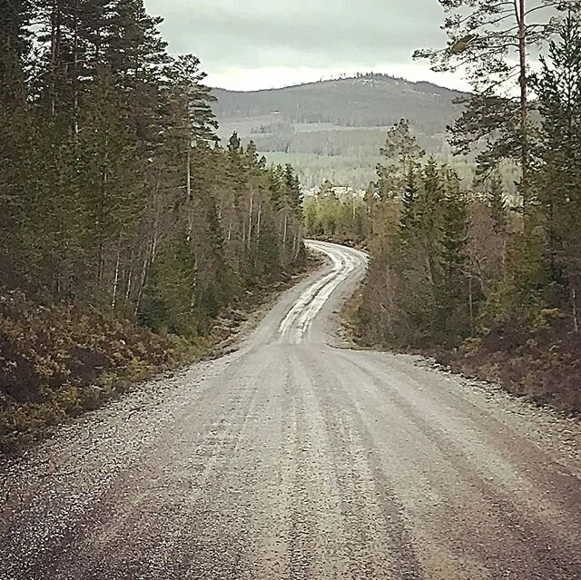 ON THE WILD SIDE! ✨ 🇸🇪 P&aring;sken 2020 bj&ouml;d p&aring; ett 24-timmars &auml;ventyr i vackra Ejheden! Vandring i sp&auml;nnande natur, uts&ouml;kt middag vid l&auml;gerelden och njutbar stillhet vid stugan. Vi s&aring;g tj&auml;der och tranor, 