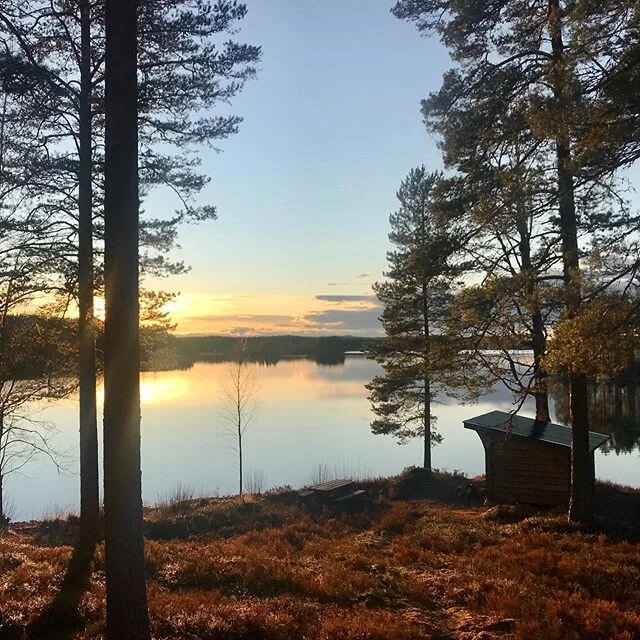 MAGIC WILD ✨ 🇸🇪 Recept f&ouml;r en bra kv&auml;ll? &Aring;k s&aring; l&aring;ngt ut i skogen du kan. T&auml;nd en eld vid en fin skogssj&ouml;. Laga en god m&aring;ltid. Njut av solnedg&aring;ngen och stillheten. 
Hittar du ingen bra plats eller vi