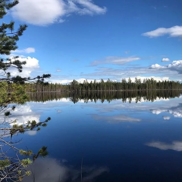 🇸🇪 Naturen &auml;r alltid &ouml;ppen! 🙌🏼 Ge dig ut sj&auml;lv eller f&ouml;lj med p&aring; n&aring;gon av v&aring;ra guidade turer. V&auml;lj mellan en dagstur eller flerdagarstur. 🤗
.
..
...
🇬🇧Nature - the place to be! 🙌🏼Swedish nature is a