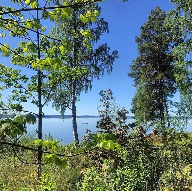 🇸🇪Hurra, sommaren är på ingång! ☀️🤗 Men...ännu vet vi inte hur och vart vi kan resa i sommar. Oavsett tycker vi att du bör fylla ledigheten med grön energi. Det är i naturen du laddar dina batterier allra bäst! 💚Om det är möjligt är du