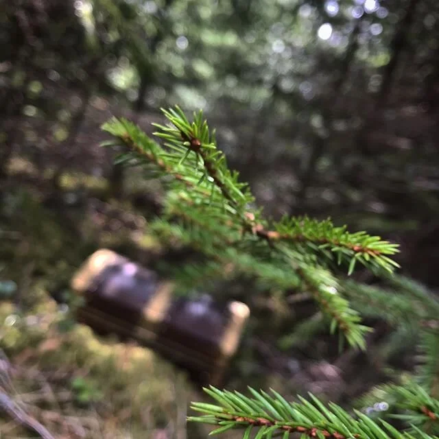 Vi hittade trollens skatt idag! Och l&auml;rde oss mer om skogen genom roliga aktiviteter. Svalkande och friskt i skogen, god fika och glada barn (och vuxna). H&auml;ng med p&aring; Jakten p&aring; trollguldet ni ocks&aring;, l&auml;s mer och boka p&