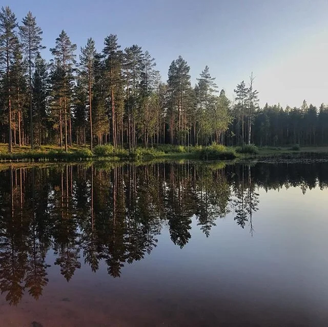 H&auml;romdagen guidade vi ett stort g&auml;ng ungdomar i skogen och grillade v&aring;fflor &ouml;ver elden. Intensivt men roligt! D&aring; var det sk&ouml;nt med lite after work i form av ett dopp i en skogssj&ouml; i solnedg&aring;ngen. 🙌🏼 #after