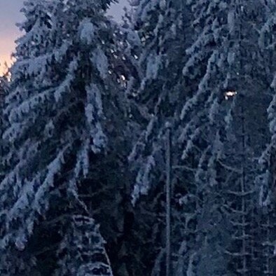 Njutbar belöning på vägen hem efter snöskovandring med nöjda gäster! ✨✨✨ 
(se hela bilden i profilen)
#vackradalarna #visitdalarna