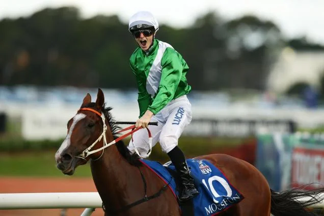 Fairview Park Stud - Thoroughbred Agistment & Breeding Sydney - Moss Fun.jpg