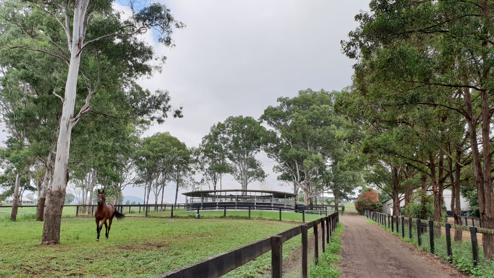 Fairview Park Stud Thoroughbred Agistment Sydney