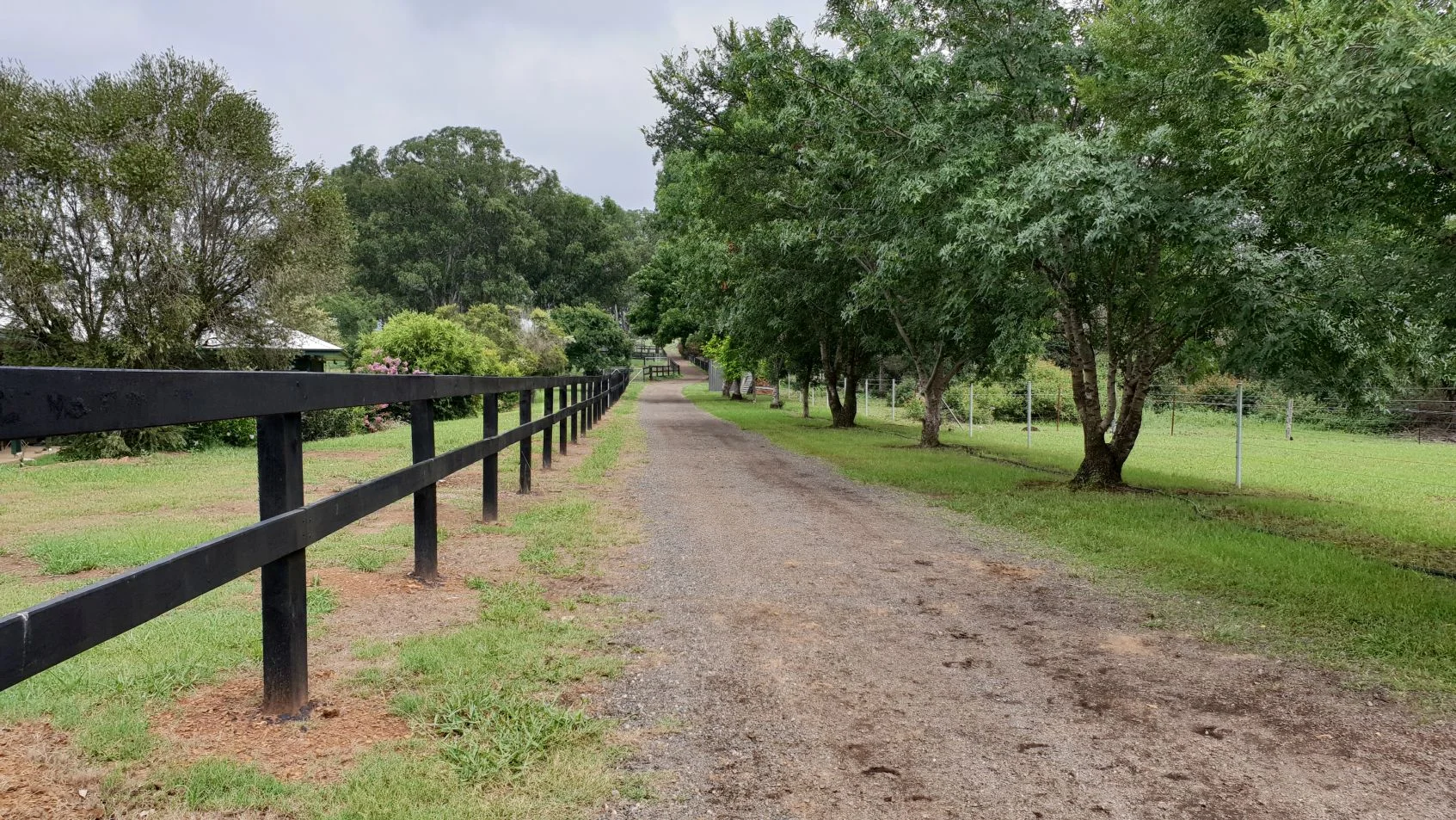 Fairview Park Stud Thoroughbred Agistment Sydney