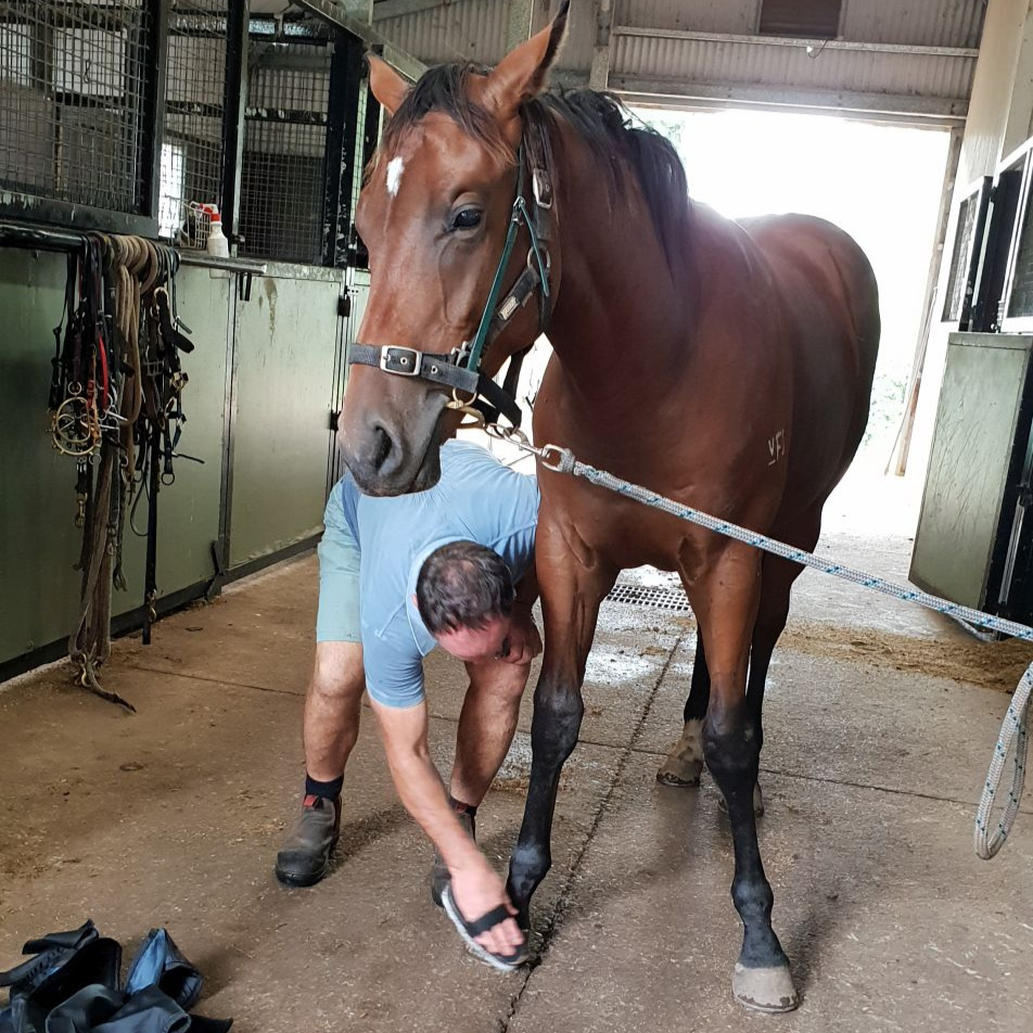 Fairview Park Stud Thoroughbred Agistment Sydney - Onsite Vet