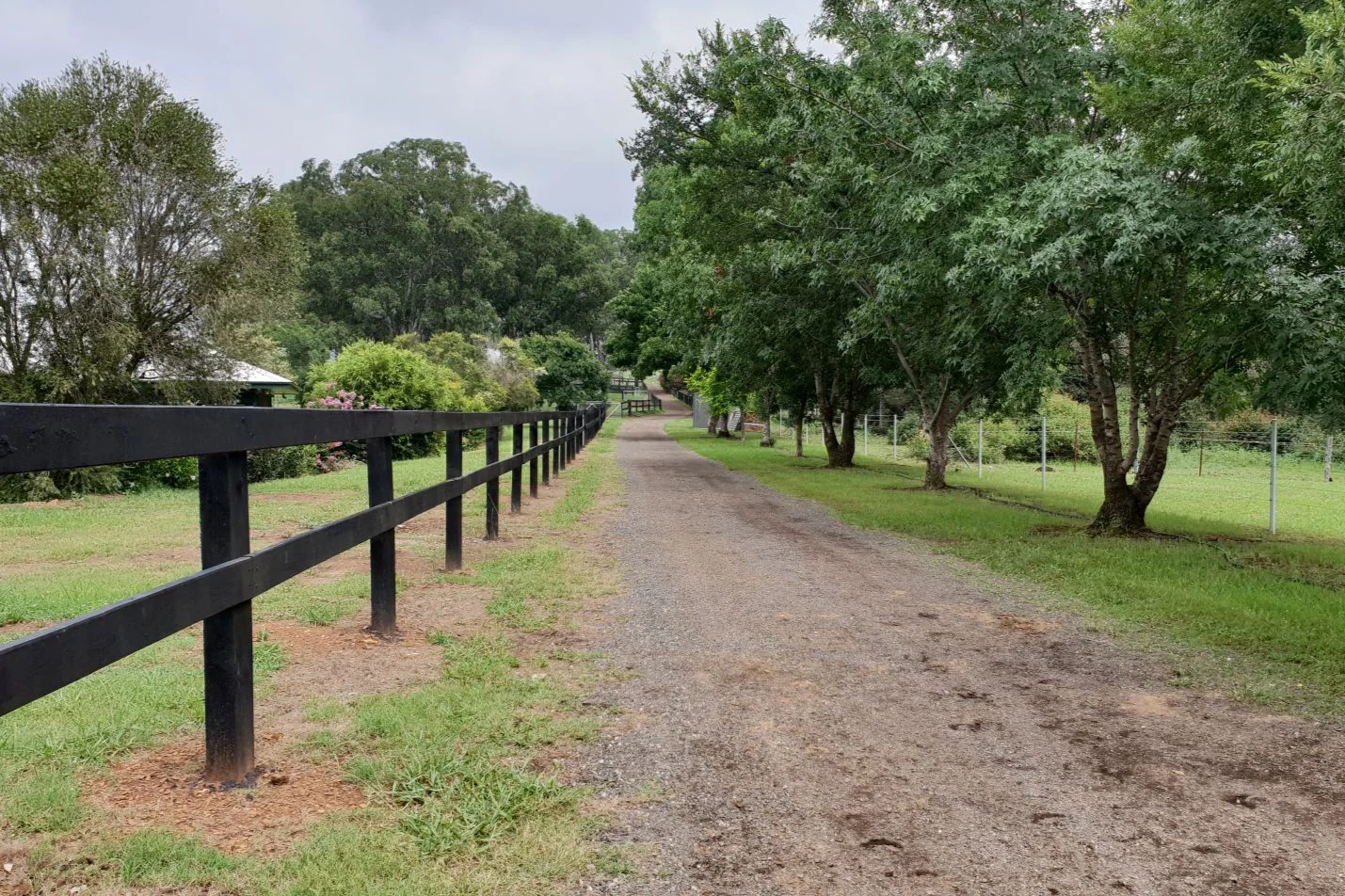 1+Fairview+Park+Stud+Thoroughbred+Agistment+_015.jpg