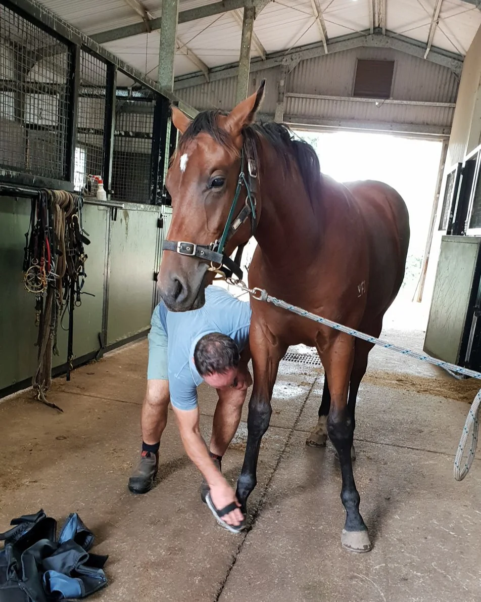 1+Fairview+Park+Stud+Thoroughbred+Agistment+_011.jpg