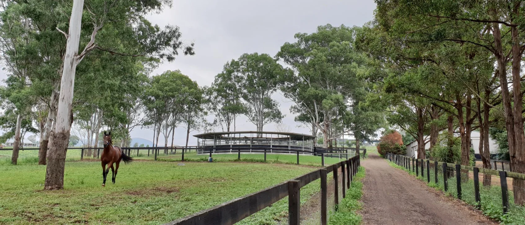 1+Fairview+Park+Stud+Thoroughbred+Agistment+_010.jpg