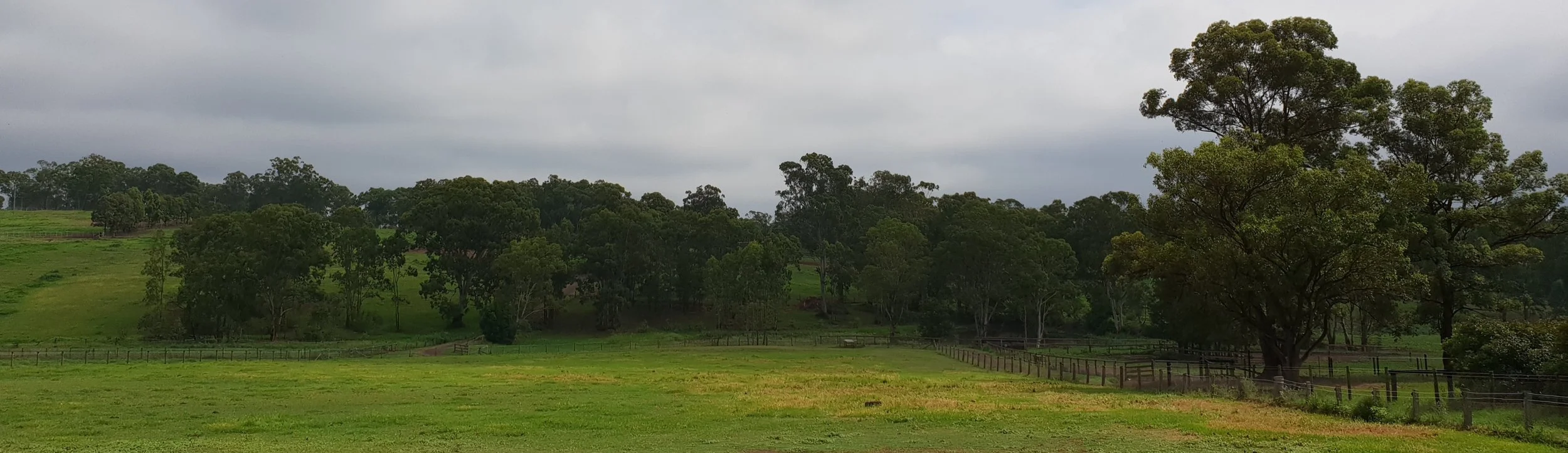 Fairview Park Stud Thoroughbred Agistment Sydney