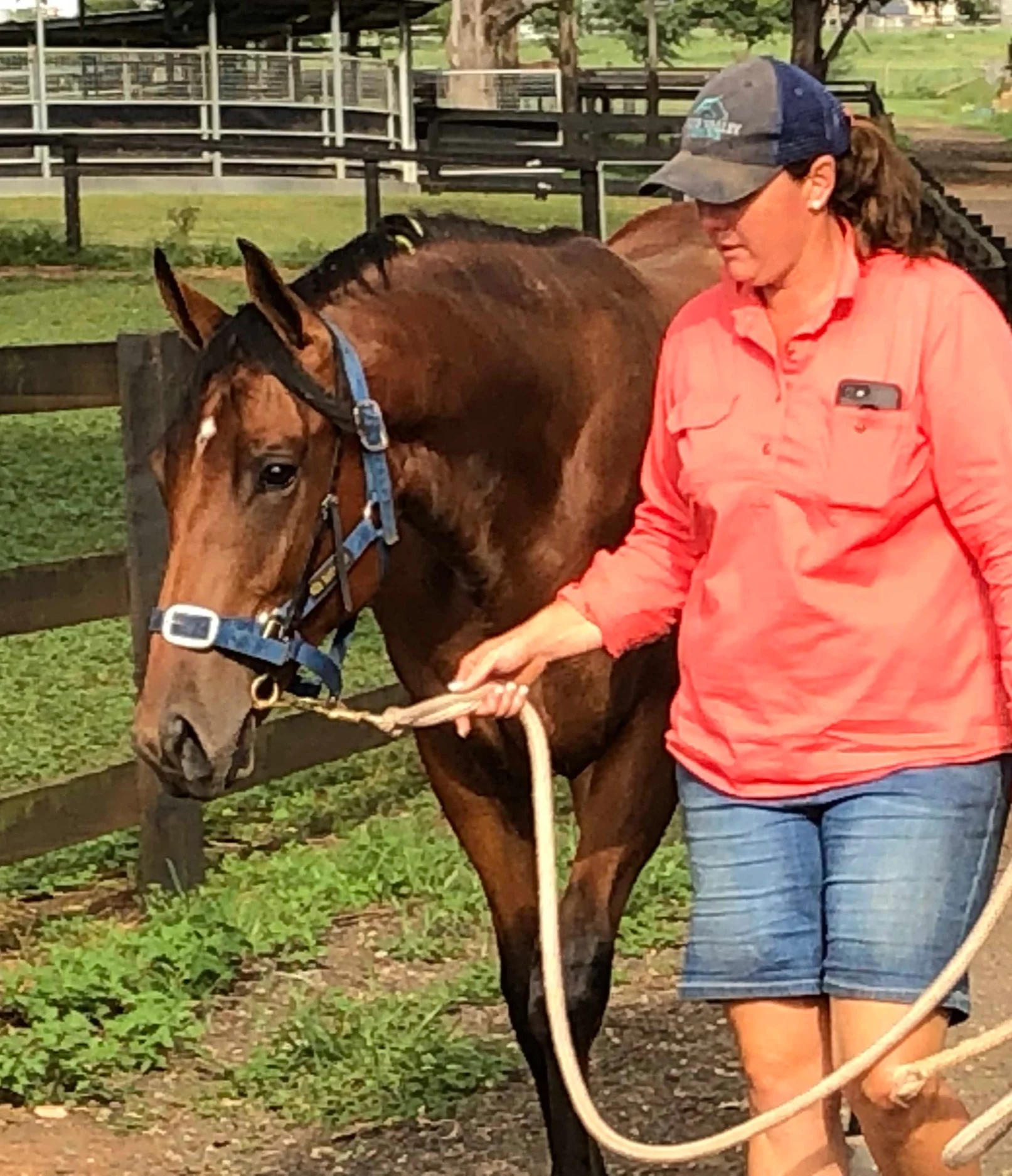 Classic yearling sales