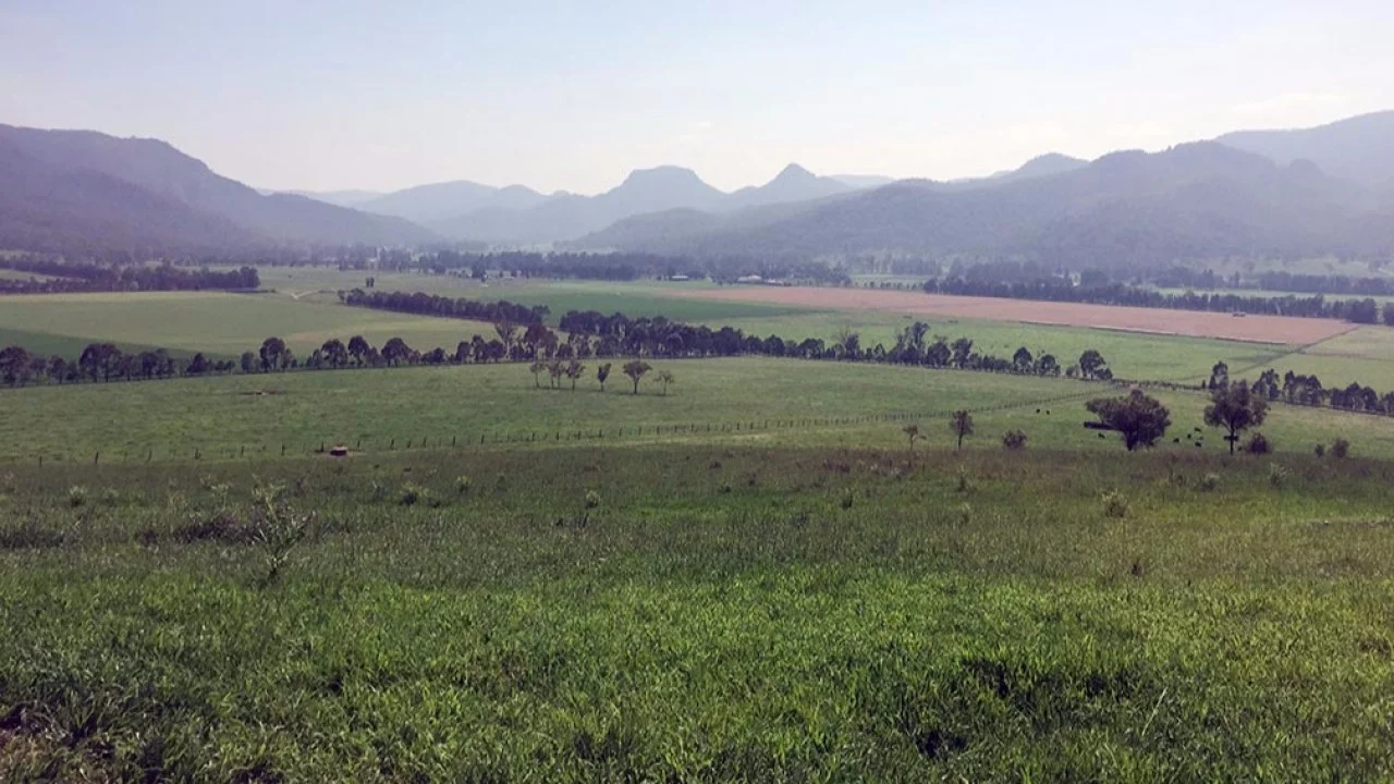 Leading stud farms take stance against deadly Hendra virus
