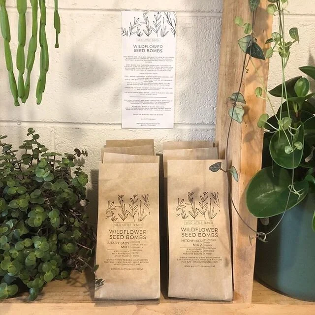 So stoked our favourite florists and plant shops like @lushlane are back open!

Time to add to the already ridiculously large indoor plant collection...
⠀⠀
Snap by @lushlane