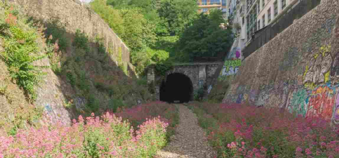 Abandoned Railway, Paris.jpeg