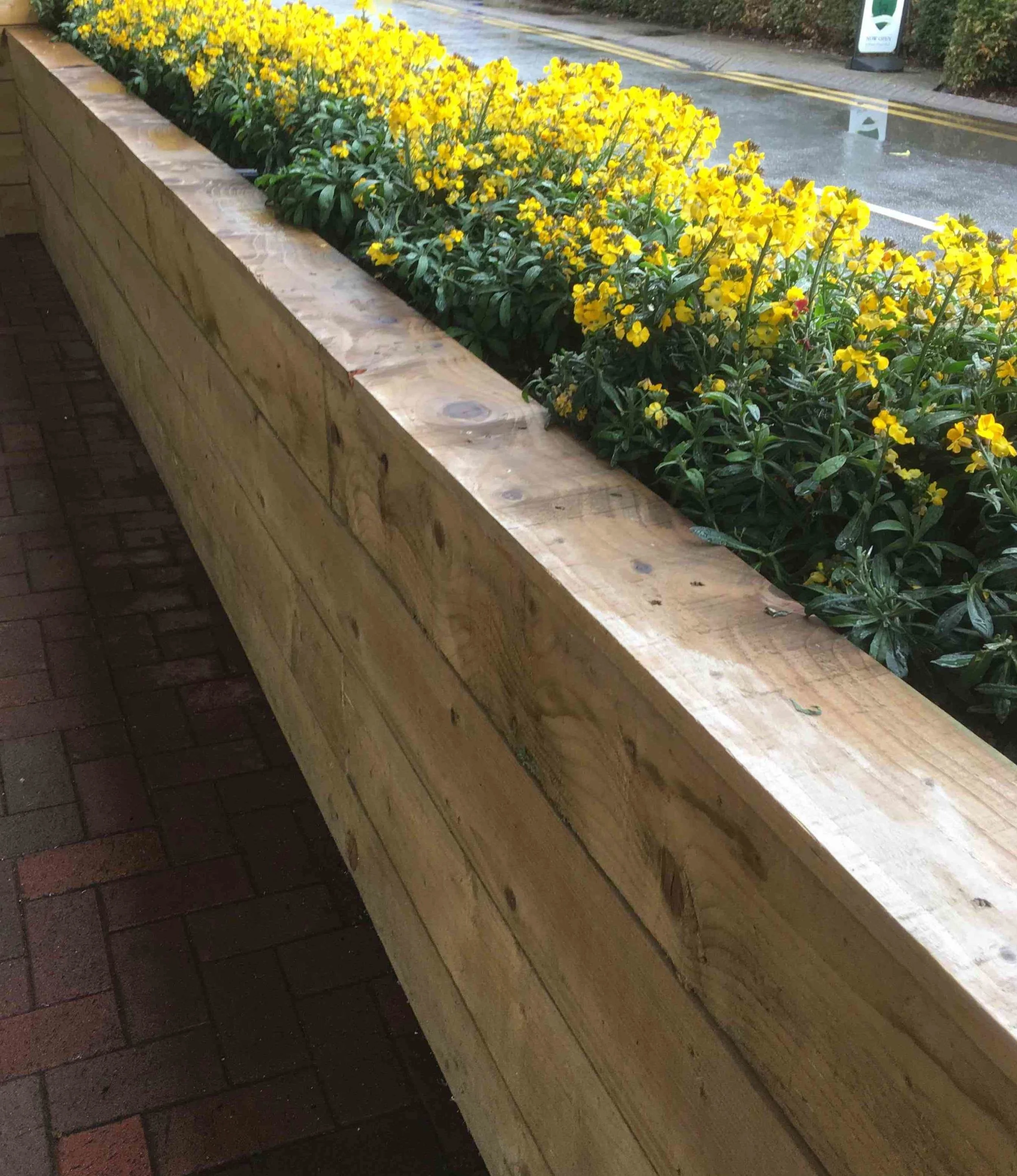 Raised bed 1.jpeg