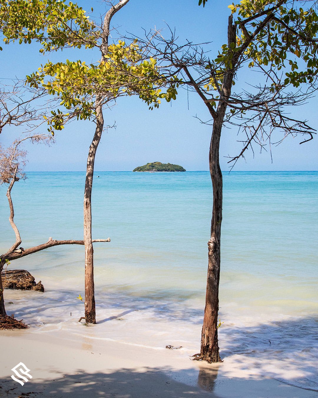 Smaller ships. Secluded ports. Unmatched service. Find your private paradise in the Caribbean with Silversea.