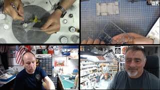 Live show Saturday 19:30 (GMT+1) 18th April 2020